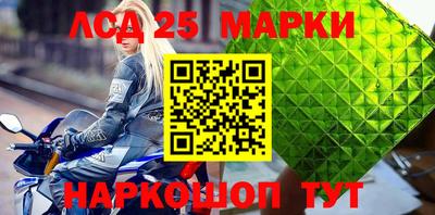 2c-b Кингисепп