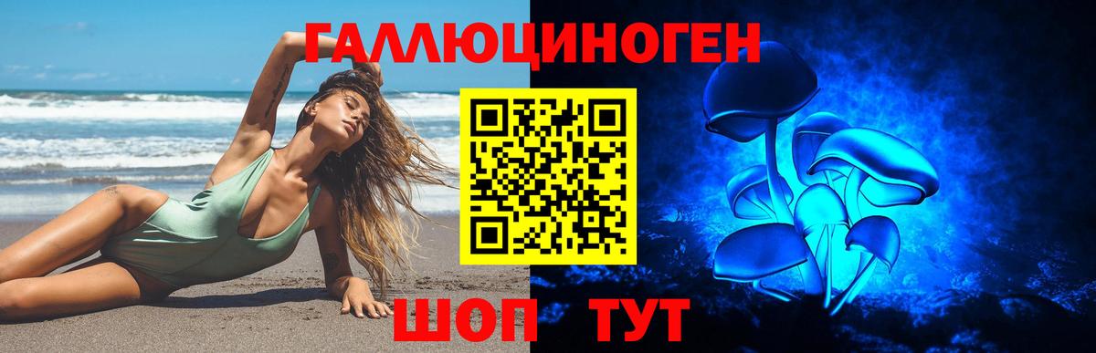 Псилоцибиновые грибы GOLDEN TEACHER  Псилоцибиновые грибы мухоморы  Крымск  Вход с VPN 